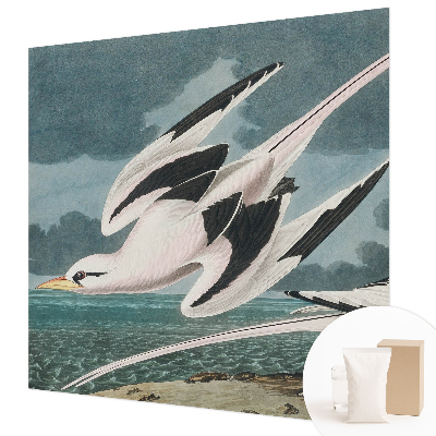 Fotobehang Vogels aan zee