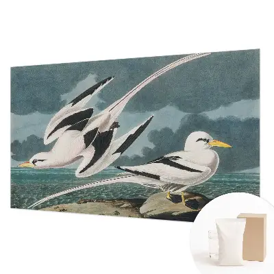 Fotobehang met een print van vogels aan zee