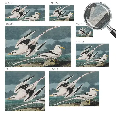 Fotobehang met een print van vogels aan zee