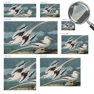 Fotobehang Vogels aan zee