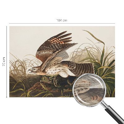 Muur behang Gevleugelde Schoonheid