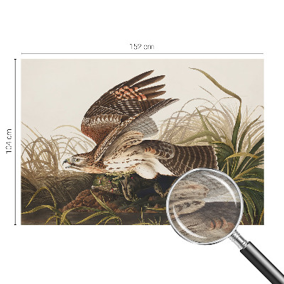 Muur behang Gevleugelde Schoonheid