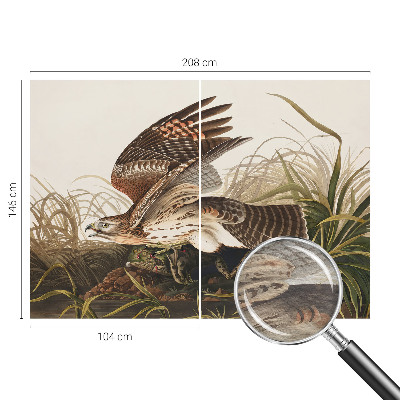 Muur behang Gevleugelde Schoonheid