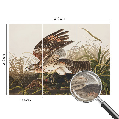 Muur behang Gevleugelde Schoonheid