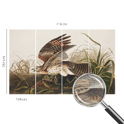 Muur behang Gevleugelde Schoonheid