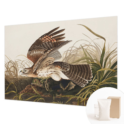 Muur behang Gevleugelde Schoonheid