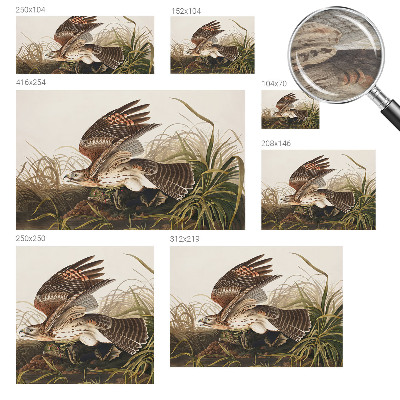 Muur behang Gevleugelde Schoonheid