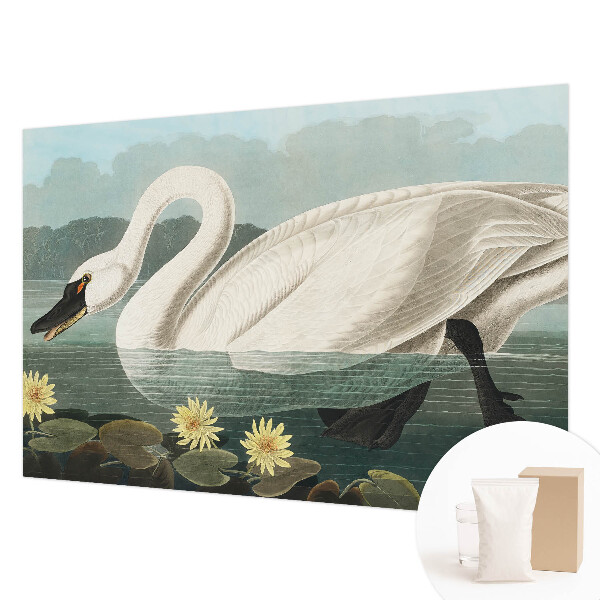 Fotobehang op maat met een zwaan en waterlelies