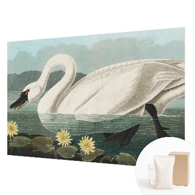 Fotobehang op maat met een zwaan en waterlelies