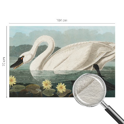 Fotobehang op maat met een zwaan en waterlelies
