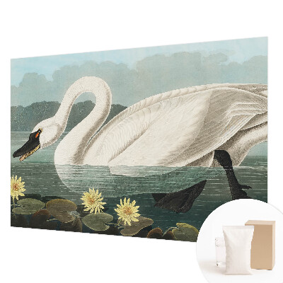 Fotobehang op maat met een zwaan en waterlelies
