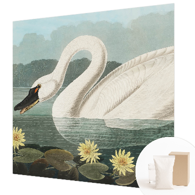 Fotobehang op maat met een zwaan en waterlelies