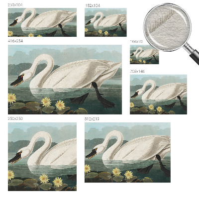 Fotobehang op maat met een zwaan en waterlelies