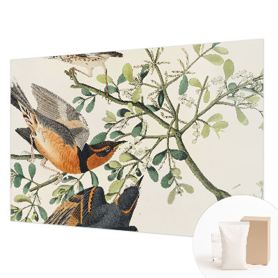 Foto behang op maat met een kleurrijk vogelsdecor