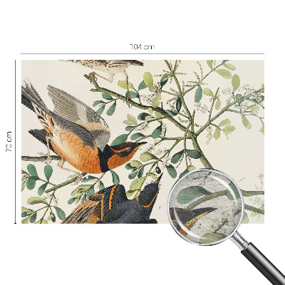 Foto behang op maat met een kleurrijk vogelsdecor