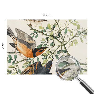 Foto behang op maat met een kleurrijk vogelsdecor
