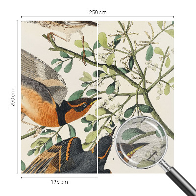 Foto behang op maat Kleurrijke vogels