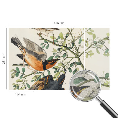 Foto behang op maat met een kleurrijk vogelsdecor