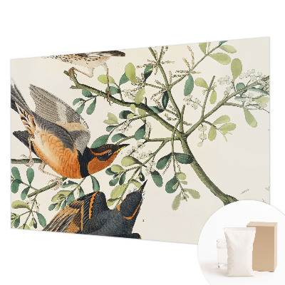 Foto behang op maat met een kleurrijk vogelsdecor