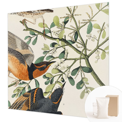 Foto behang op maat met een kleurrijk vogelsdecor