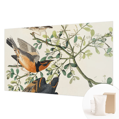 Foto behang op maat met een kleurrijk vogelsdecor