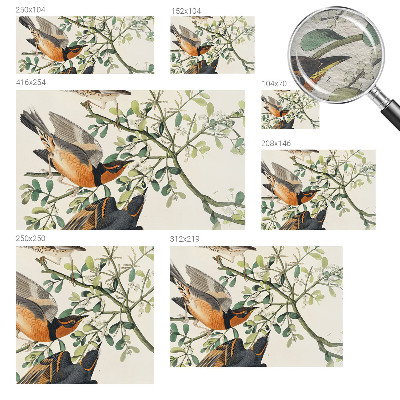 Foto behang op maat met een kleurrijk vogelsdecor