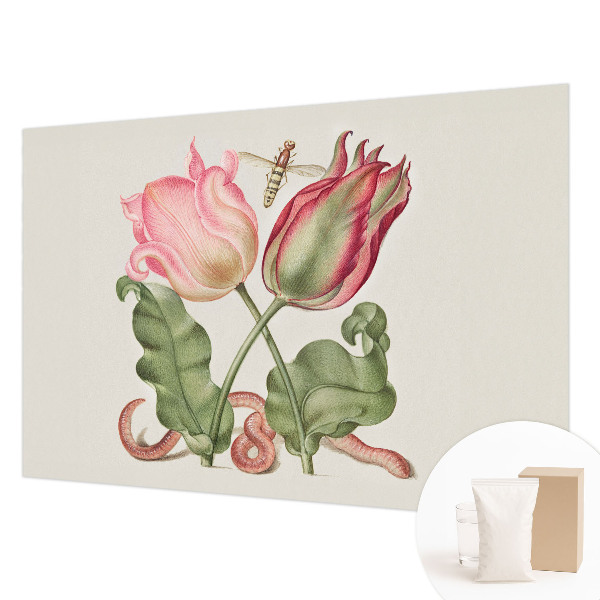 Fotobehang voor slaapkamer met een afbeelding van tulpen voor een sfeervolle slaapkamer