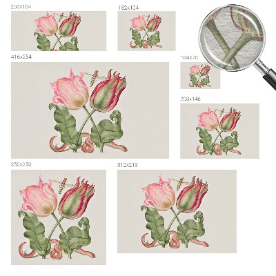 Fotobehang voor slaapkamer Tulpen schoonheid