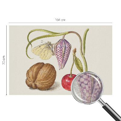 Modern fotobehang met een ontwerp van de vlinderplant