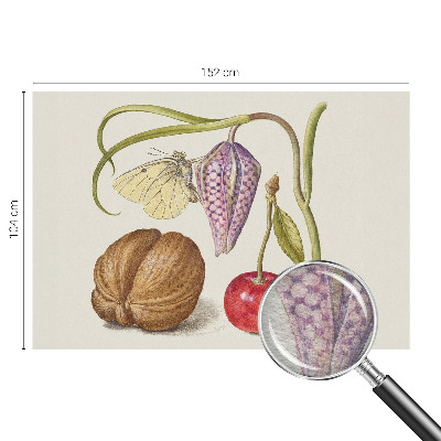 Modern fotobehang met een ontwerp van de vlinderplant