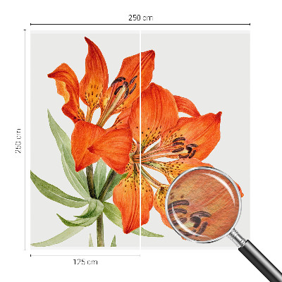 Modern fotobehang voor de woonkamer Oranje lelie