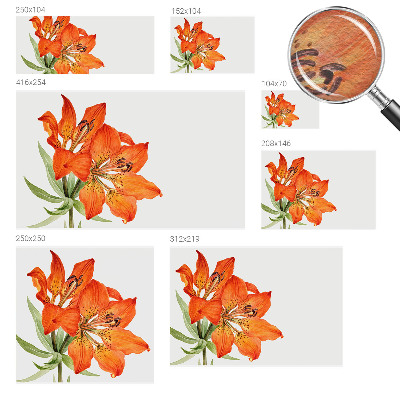 Modern fotobehang voor de woonkamer met een oranje leliemotief