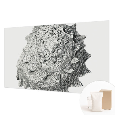 Vlies fotobehang met het thema 'De kunst van de natuur'