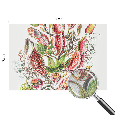 Vliesbehang fotobehang met plantdetails