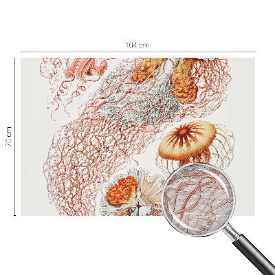 Fotobehang vlies Sierkwal