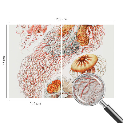 Fotobehang vlies Sierkwal