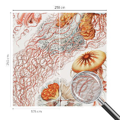 Fotobehang vlies Sierkwal