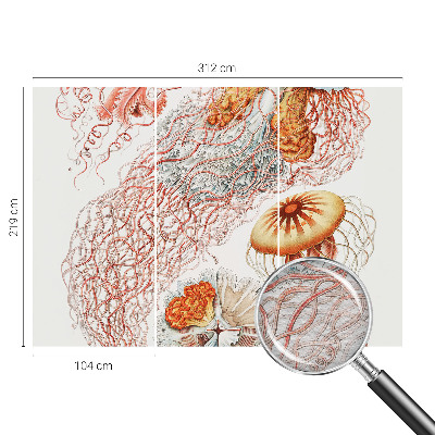 Fotobehang vlies Sierkwal
