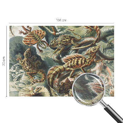 Fotobehang vliesbehang met een exotisch reptielenmotief