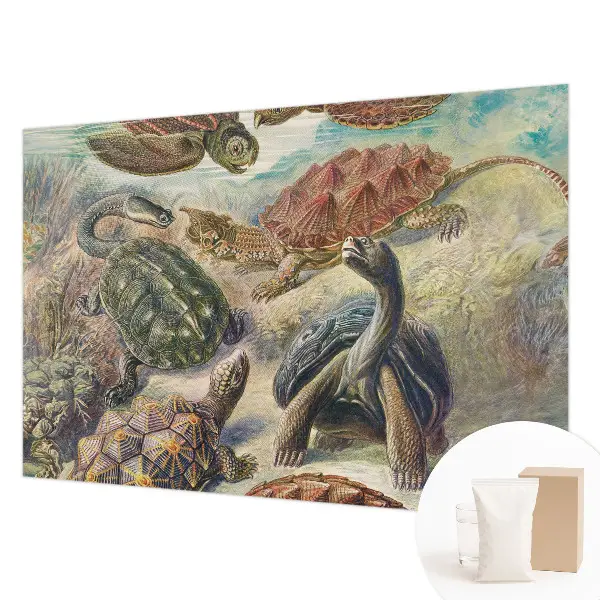 Vlies fotobehang op maat met schildpadmotief
