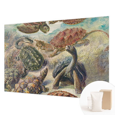 Vlies fotobehang op maat met schildpadmotief
