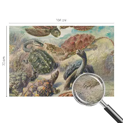 Vlies fotobehang op maat met schildpadmotief