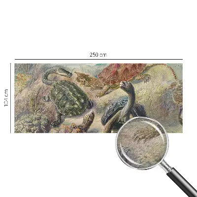Vlies fotobehang op maat met schildpadmotief