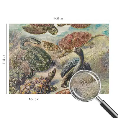 Vlies fotobehang op maat met schildpadmotief