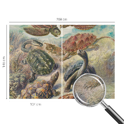 Vlies fotobehang op maat Schildpadfauna