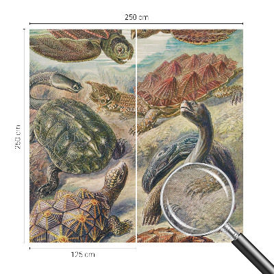 Vlies fotobehang op maat Schildpadfauna