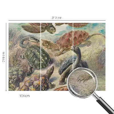 Vlies fotobehang op maat met schildpadmotief