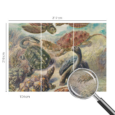 Vlies fotobehang op maat Schildpadfauna