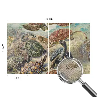 Vlies fotobehang op maat met schildpadmotief