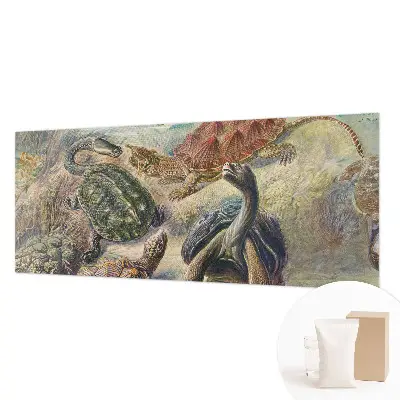 Vlies fotobehang op maat met schildpadmotief